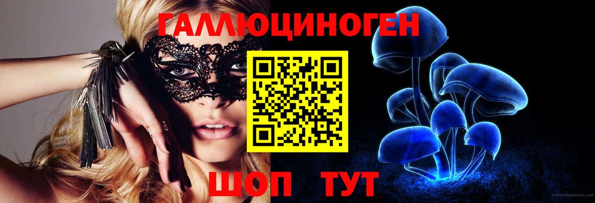 Псилоцибиновые грибы Psilocybe Аргун